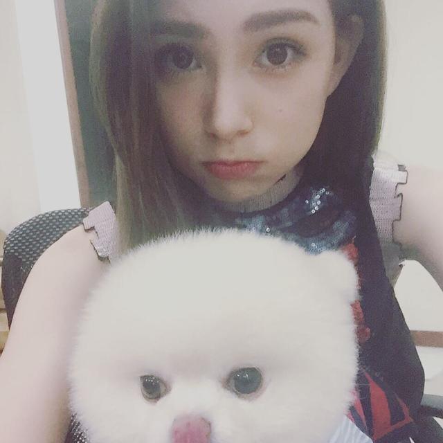 周杰伦与昆凌的定情信物, 周家最受宠的毛孩子, 萌软比熊麻吉