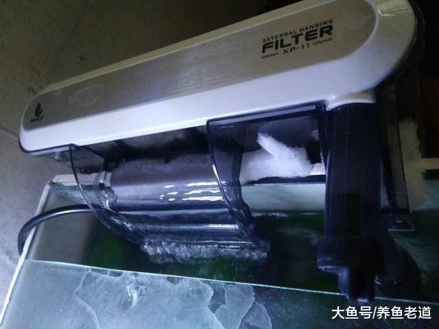 瀑布过滤在小型鱼缸的使用中，处理水面气泡的效果还是很好的