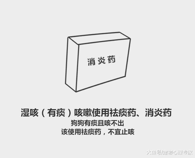 59秒冷盘点：狗狗咳嗽老不好？排除重大疾病找对病因对症下药
