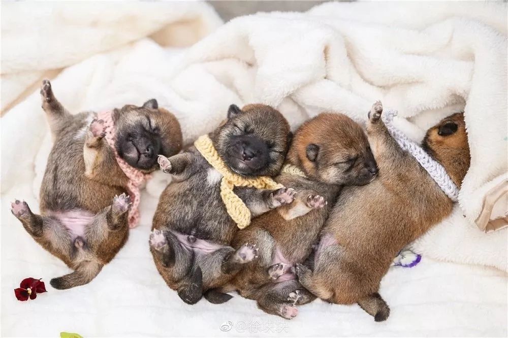 一家三口，住6000平米的房，这也许就是“美好生活”应该有的样子！