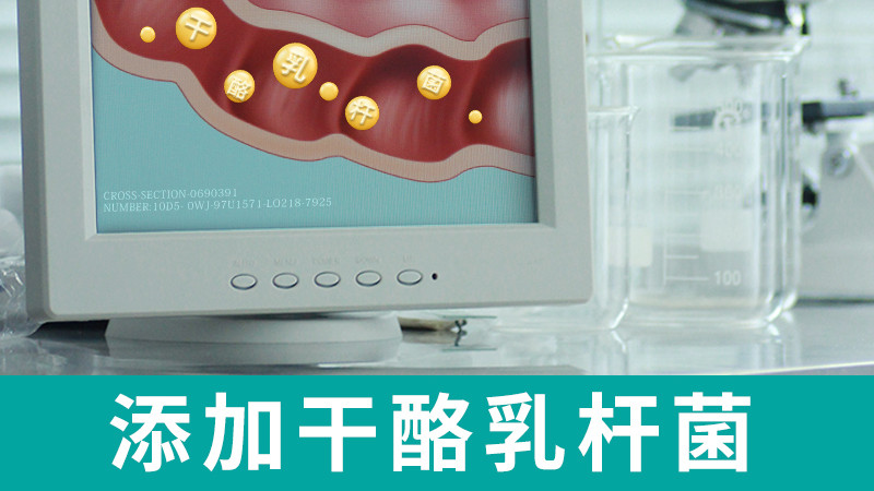 益生菌，有助于改善猫咪肠道问题，增加猫咪的食欲