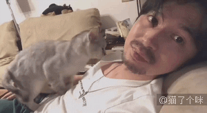 量子波动进食法，这个吃饭速度，猫猫落泪