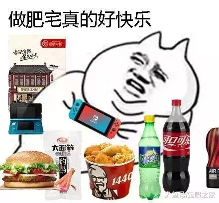簡直逆天，生娃這種事，倉鼠媽媽一鼠就能搞定