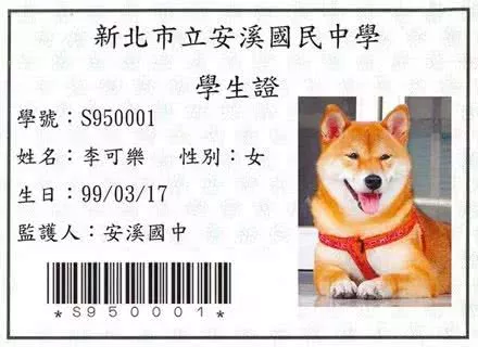 流浪狗守护学校8年，在它生日时，校长的一个举动让无数人点赞！