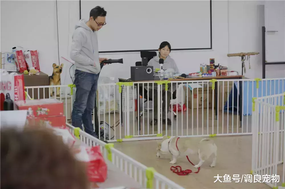 成长总是在不经意间发生||82期专业课进行中