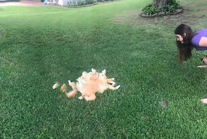 其实，动物也害怕那些技术渣的人拍的全景照片