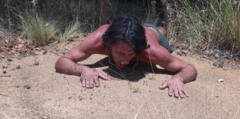 男子野外探险发现巨型蚂蚁窝，随后他的做法让人哭笑不得！