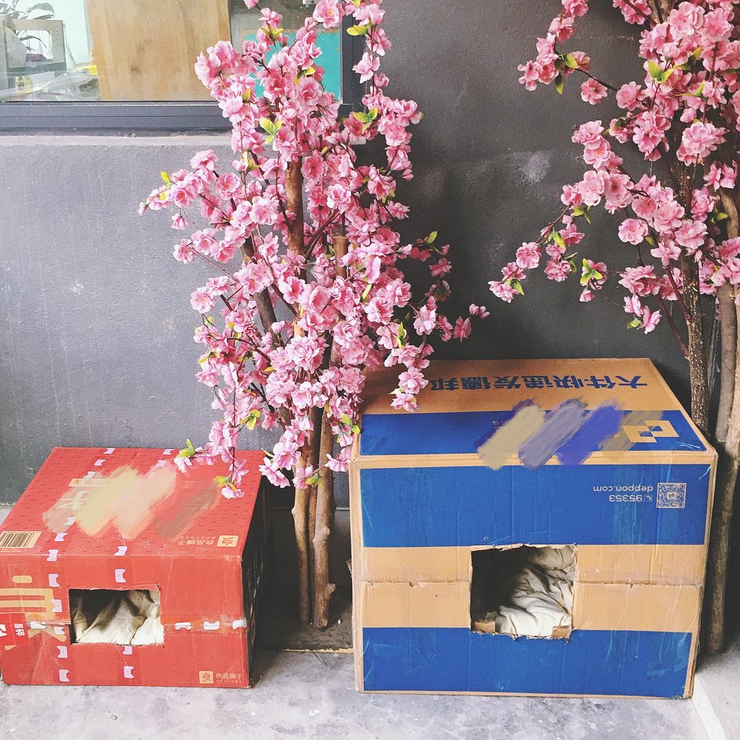 喵星人奇葩取暖方式：我冷起来，连自己都炖了