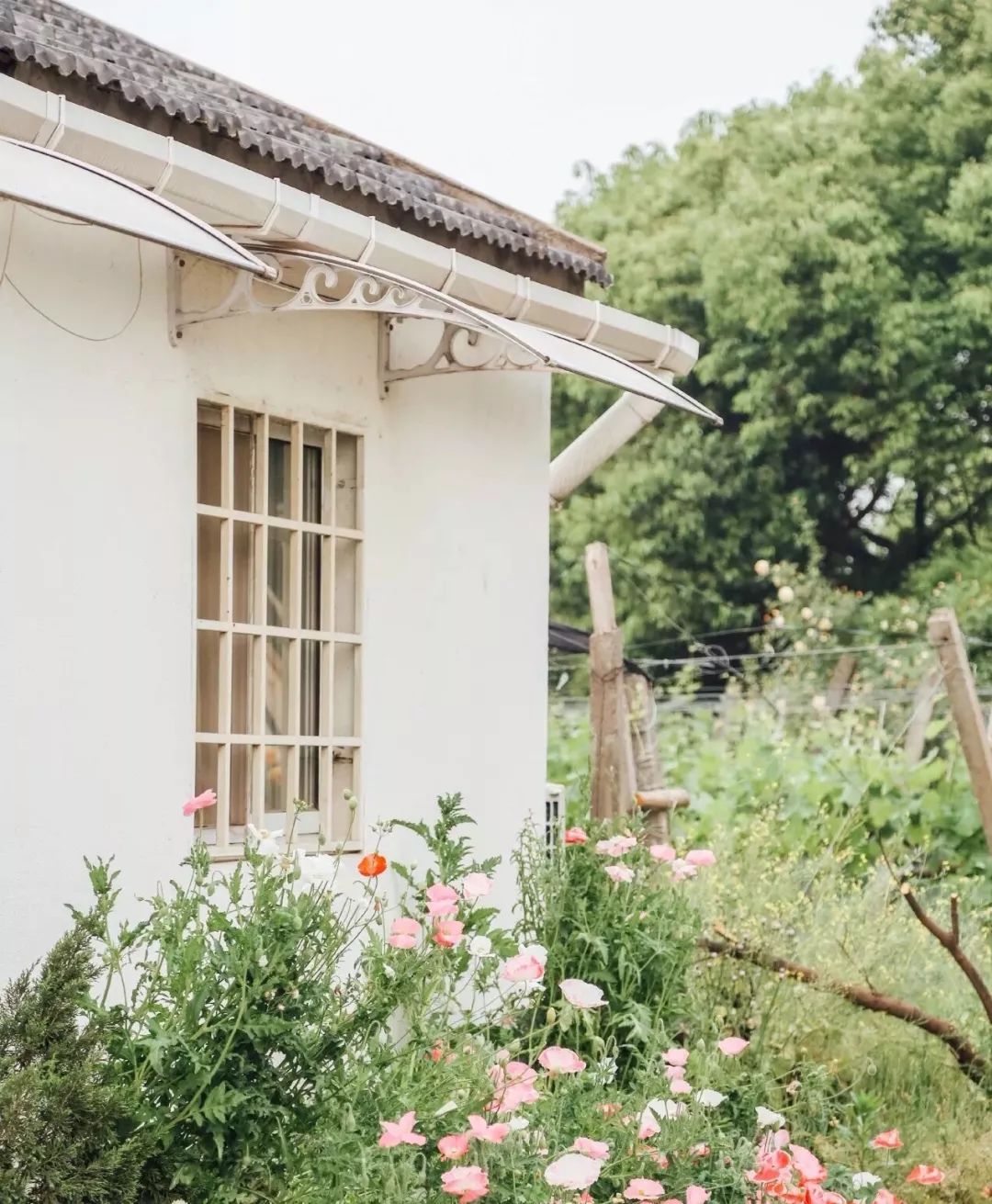 一家三口，住6000平米的房，这也许就是“美好生活”应该有的样子！