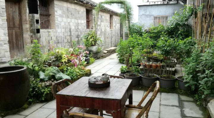 岳父闲来无事，在家捣鼓庭院，没想到竟改造成茶室！真是大开眼界