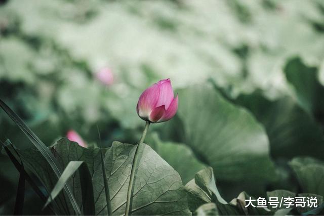 钱挣再多，又有啥用呢？太现实了！