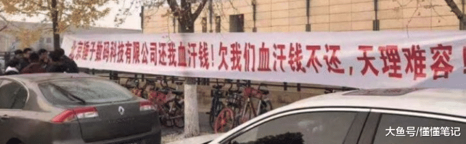 谁说罗永浩要救锤子科技？