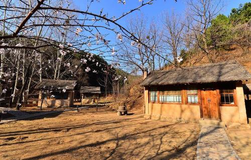 2020年农村又来新规则了，3类旧宅基地保不住了，却能拿2万补贴！