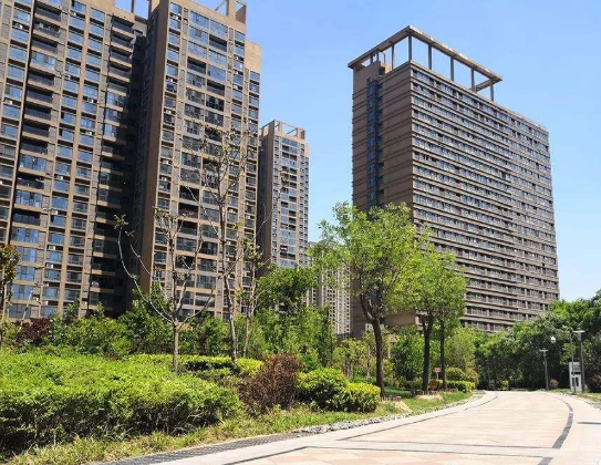 为什么聪明人抢着买这些楼层？不用多久就升值，真懊悔没早知道