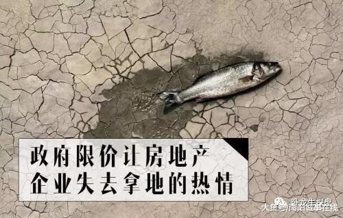 白河南住宅用地流拍！南阳楼市未来价值高地究竟在哪里？