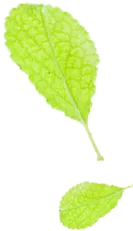 初秋时节，地产界首个轻食主义正在呈上