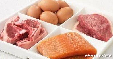 狗狗所需的6种基本营养物质，你知道吗？