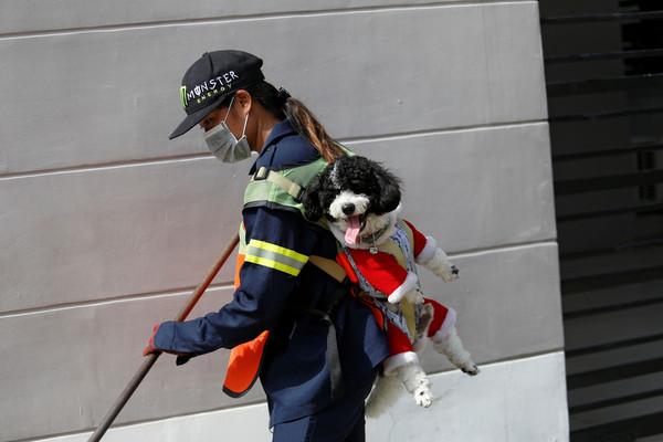 泰国28岁女清洁工爆红，只因每天背着狗狗上班，只因担心狗狗寂寞