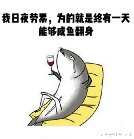 王源不仅学坏还恋上杨超越？盘点两人可能在一起的现象！