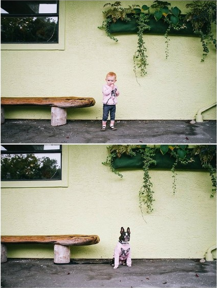 ‘萌娃与狗’傻傻分不清楚，国外玩出新花样萌娃与狗自拍，真的佩服这家主人，这是实力坑娃啊 ，哈哈！