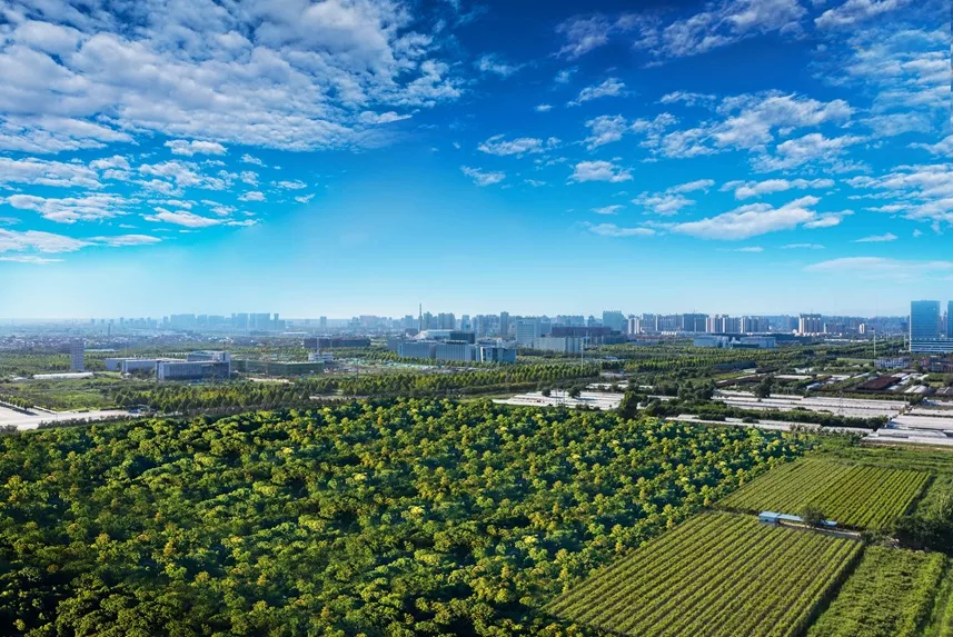 市场聚焦 | 一条大西安新中轴，撬动区域价值裂变！