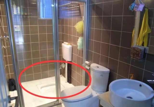 头一次见淋浴房里装蹲坑，我骂老公脑子进水，入住后才发现我错了