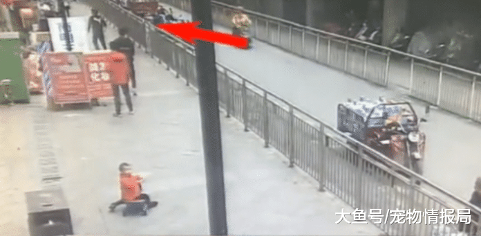 姐姐被欺负，家里人不吭声，弟弟坐不住，不远千里给自己姐姐报仇！