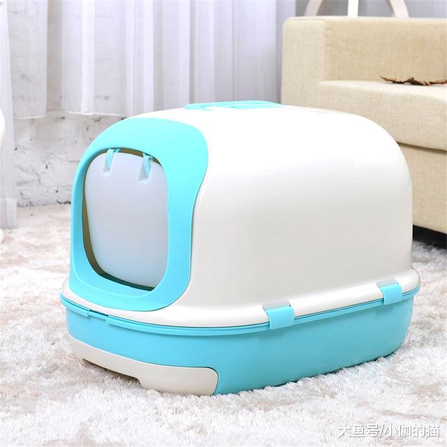 辟谣：猫砂伴侣不是真的好伴侣！猫砂除臭颗粒会导致猫呕吐和腹泻