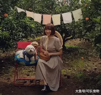主人给狗做水疗，结果却把网友吓了一跳，看着真像大锅“煮汤”