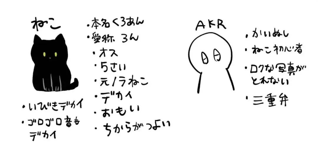 这只猫戏实在太多了，已经到了自作多情的地步…