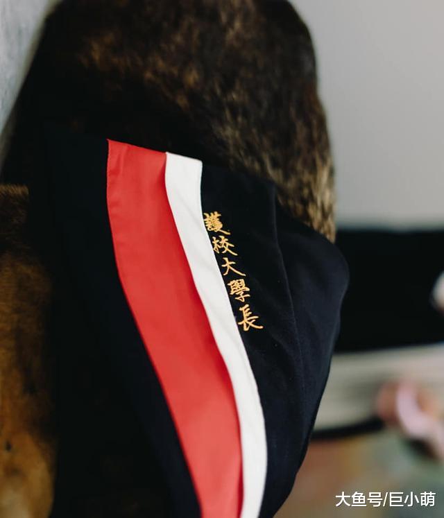 东吴大学校犬逝世，曾守卫校园20年，校友为它绣毕业领巾送它离开