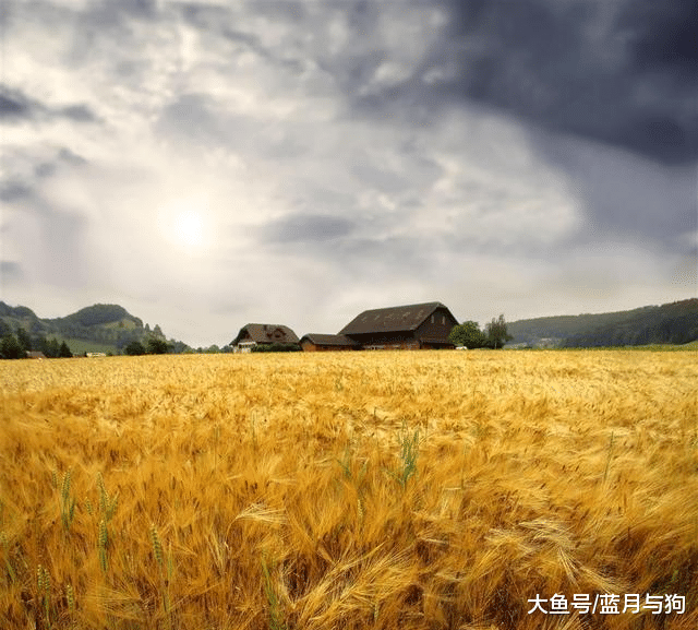 你所不知道，东北有新三宝