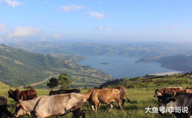 艾滋病泛滥的国家，27%的人患有艾滋病，国王却每年都娶一个老婆