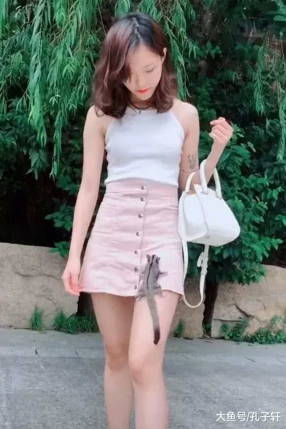 小姐姐胆子真大, 身着短裙任由“密袋鼠”在身上攀爬, 真怕它迷路