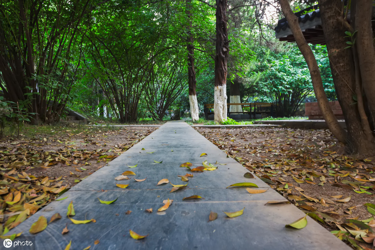 来自榆树的民间记忆—— 榆树盟温站曾有座罗汉庙