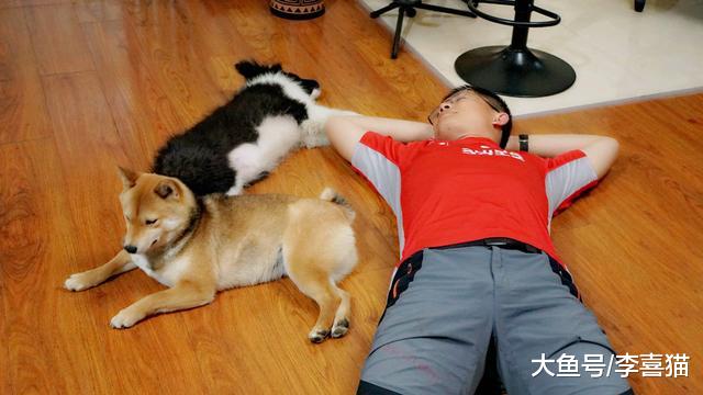 宠物越养越多背后的秘密，谁让铲屎官无法拒绝这四点益处的诱惑？