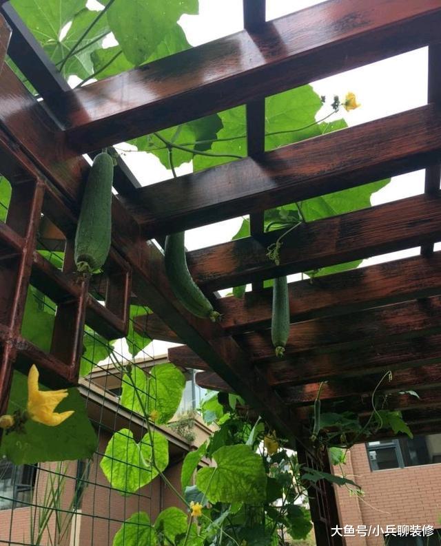 晒晒我家4层别墅，面积差不多600平，光装修花了200多万！