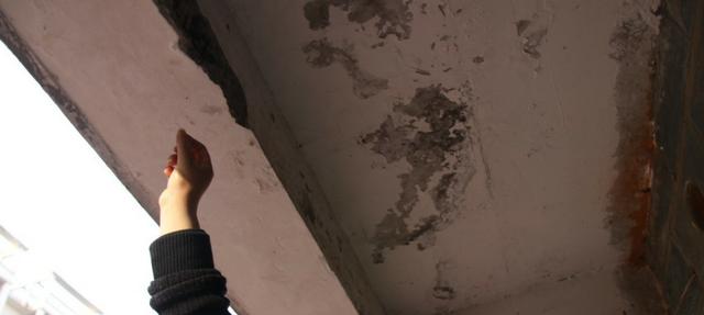 为什么懂行的人喜欢买凤凰层? 开发商：因为它是真的黄金楼层