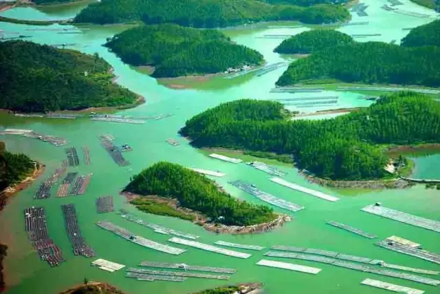 还出什么国？去了广西，等于去了全世界，不信你看