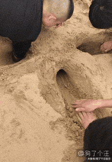 有女儿的人家一定要养一只大狗