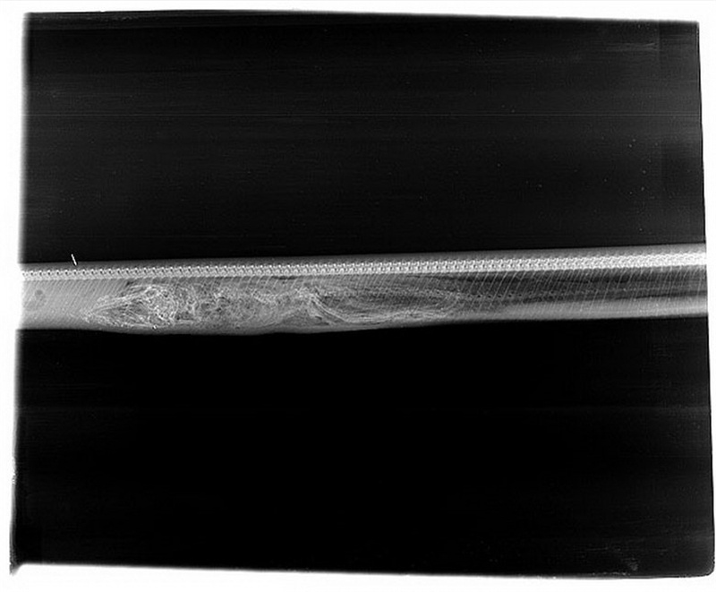 蟒蛇消化鳄鱼全过程，整整七天完成消化，网友：吃一顿顶七天