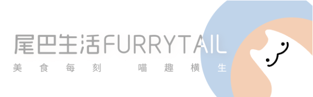 猫为什么对纸箱如此着迷？