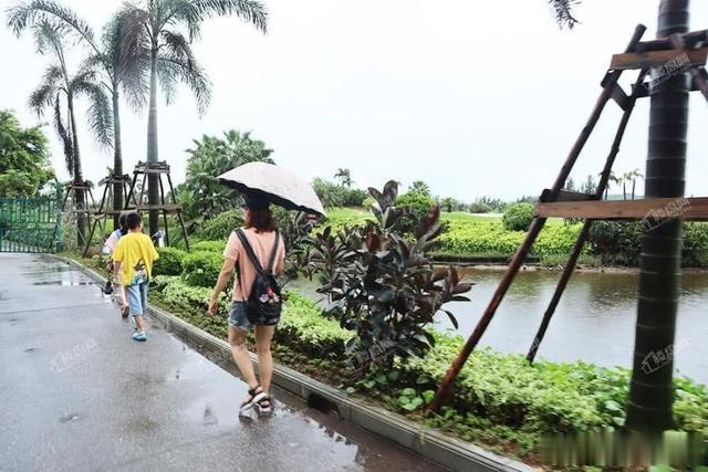 风雨无阻，北海房价网携手楼盘网2019免费看房团圆满结束