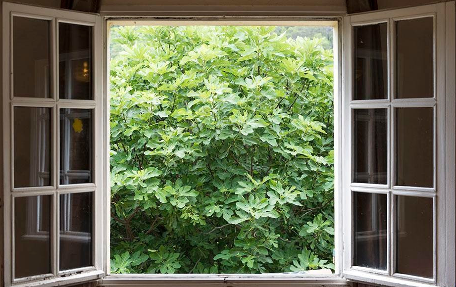 儿童白血病高发，诱因是什么？医生坦言：大多是家中藏隐患，家长忽视