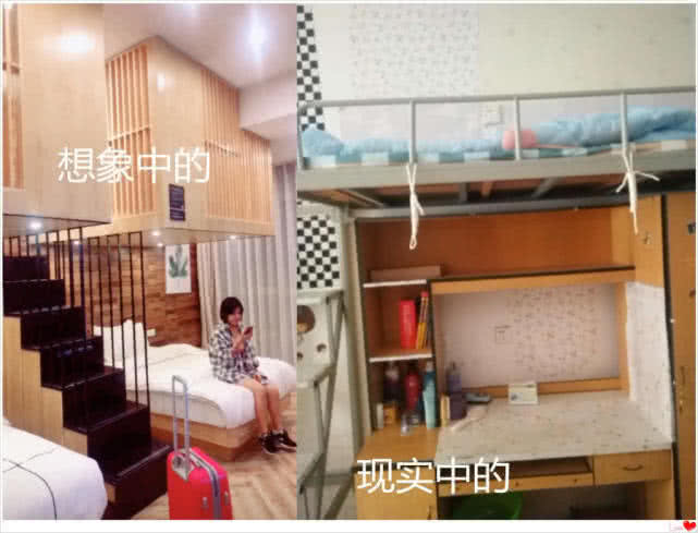 理想大学VS现实大学，对比结果太真实，网友：想太多不好
