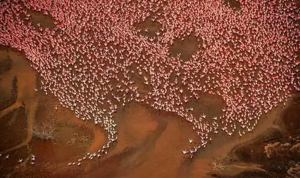 遇肯尼亚（三）难以描述的神奇