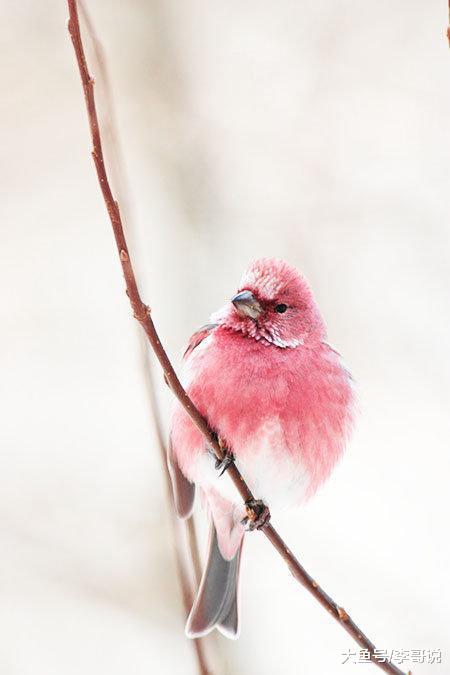 心态放宽的经典语录，内涵深刻，耐人寻味！