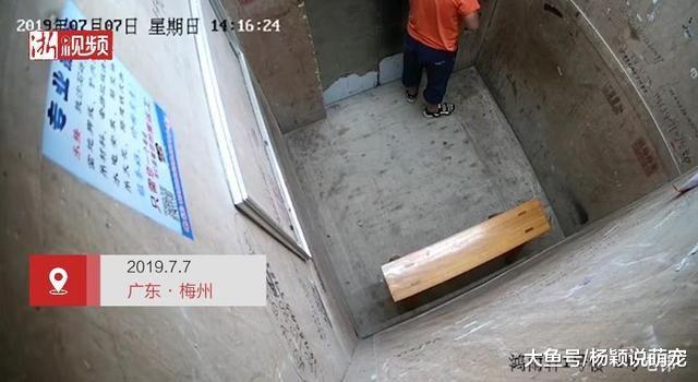 熊孩子跑电梯内撒尿，导致电梯短路，瞬间火花四射，吓得女子拔腿就跑