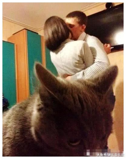女子跟男友在房间秀恩爱，忘记还有一只猫咪，一看它的表情不淡定了