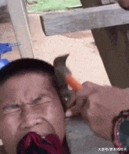 搞笑gif: 一场超越种族的恋爱, 你会祝福他们吗